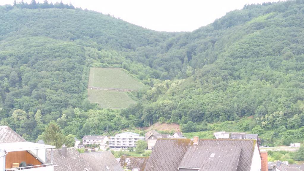 Gaestehaus Kiesgen-Mendgen ベルンカステル・クース エクステリア 写真